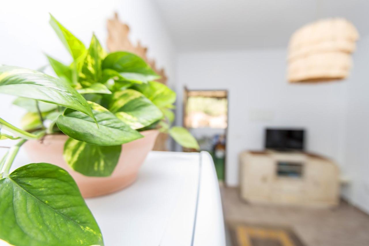 Apartmán Casita Rural En Centro De Hipica Tarifa Exteriér fotografie