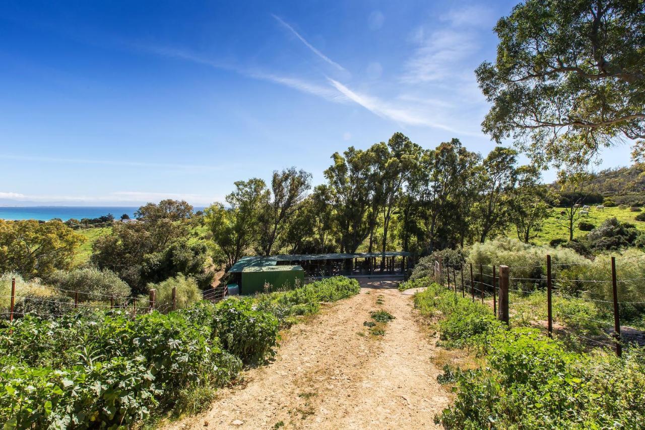 Apartmán Casita Rural En Centro De Hipica Tarifa Exteriér fotografie