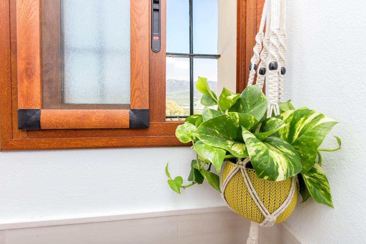 Apartmán Casita Rural En Centro De Hipica Tarifa Exteriér fotografie